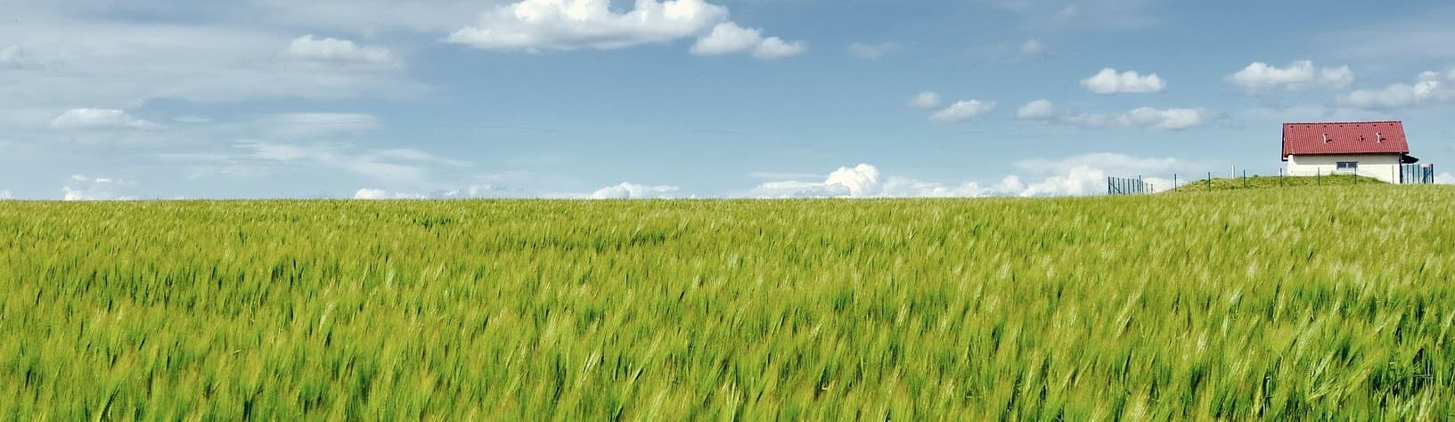 Banner background